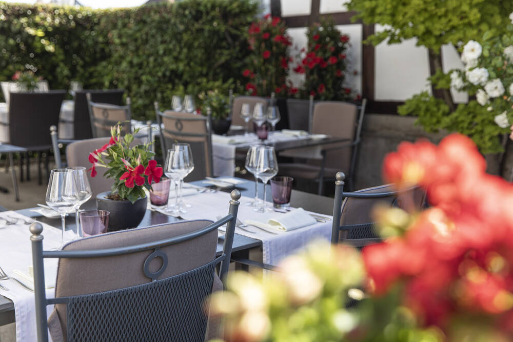 Dine, Bike & Wine