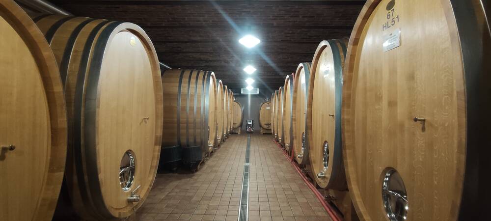 Wine & Trüffel am 27. November