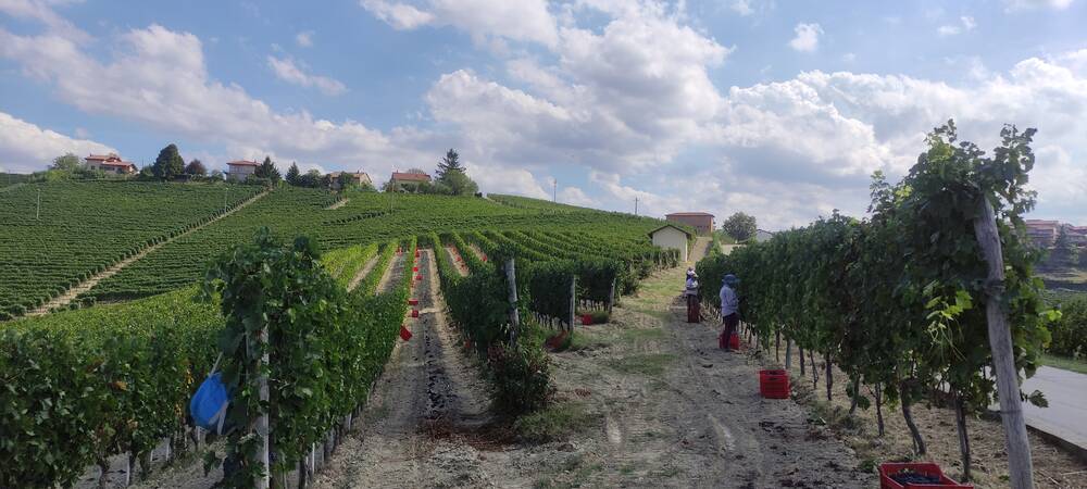 Wine & Trüffel am 27. November